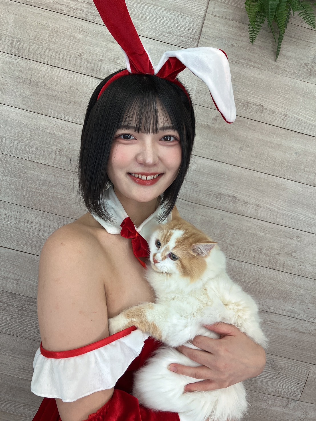 1/25(日)虹村ゆみちゃんイベント！画像